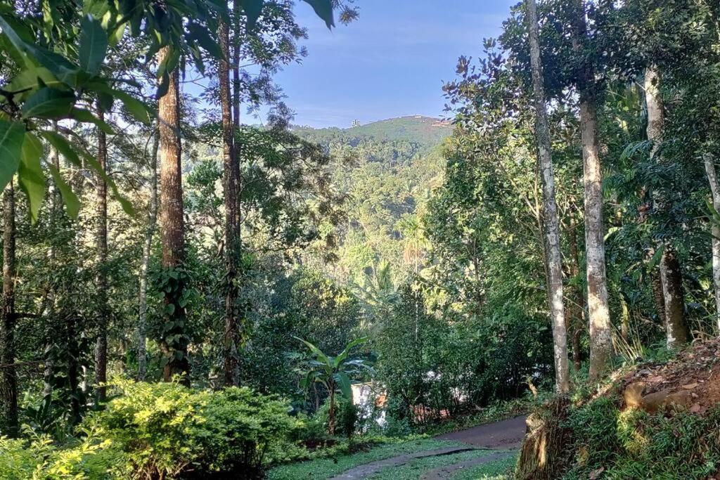 Coffee Camp Home Stay With Tree House Kattappana Exteriér fotografie