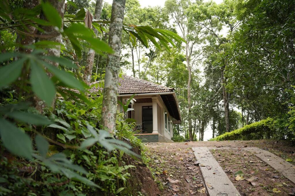 Coffee Camp Home Stay With Tree House Kattappana Exteriér fotografie