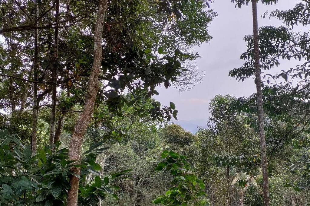 Coffee Camp Home Stay With Tree House Kattappana Exteriér fotografie