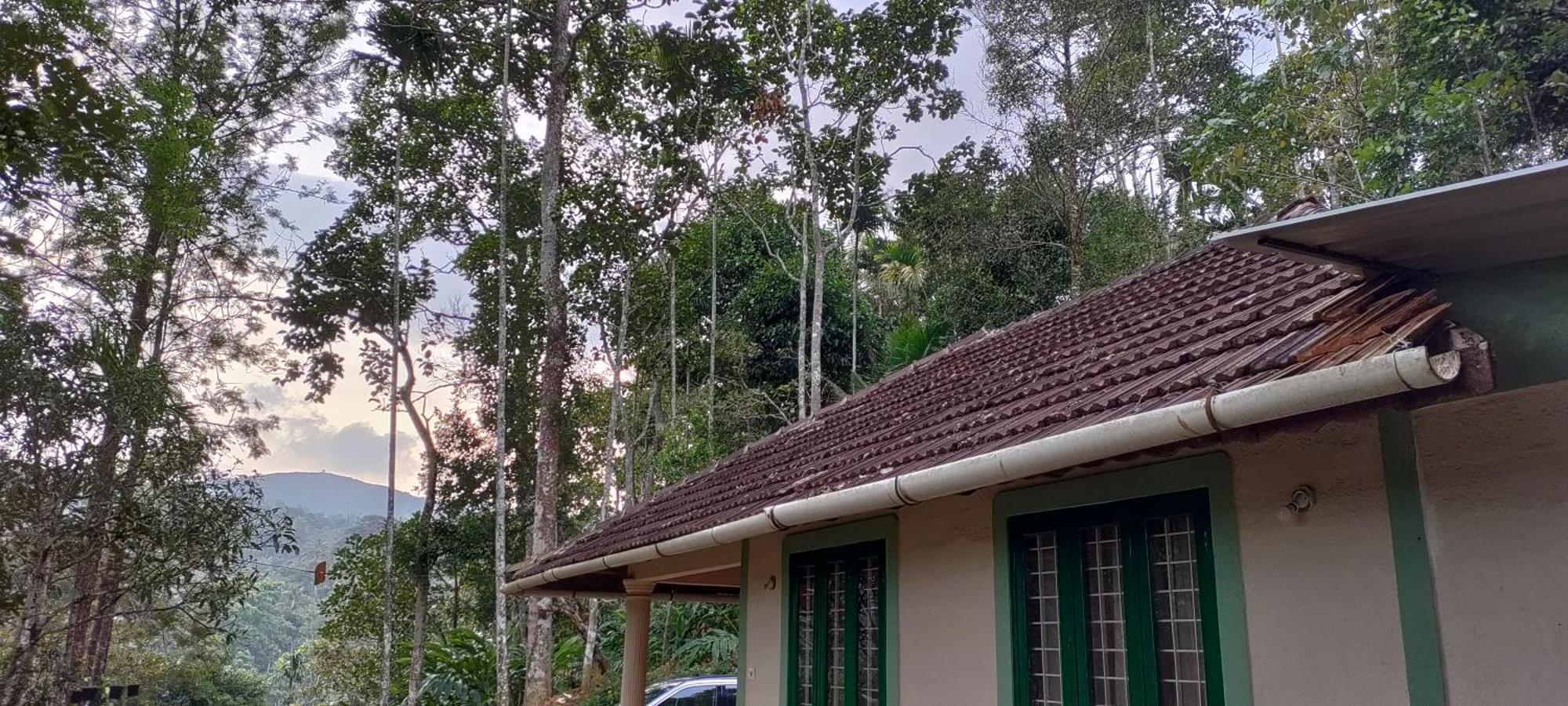 Coffee Camp Home Stay With Tree House Kattappana Exteriér fotografie