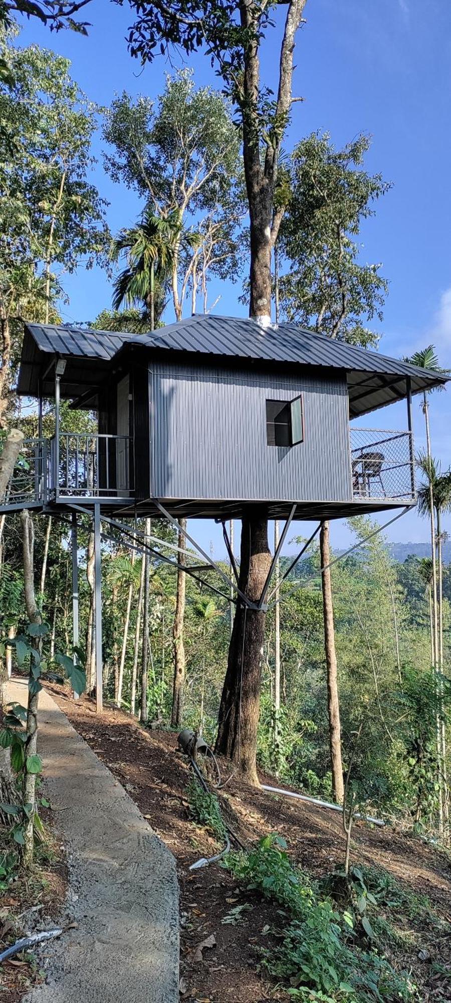 Coffee Camp Home Stay With Tree House Kattappana Exteriér fotografie