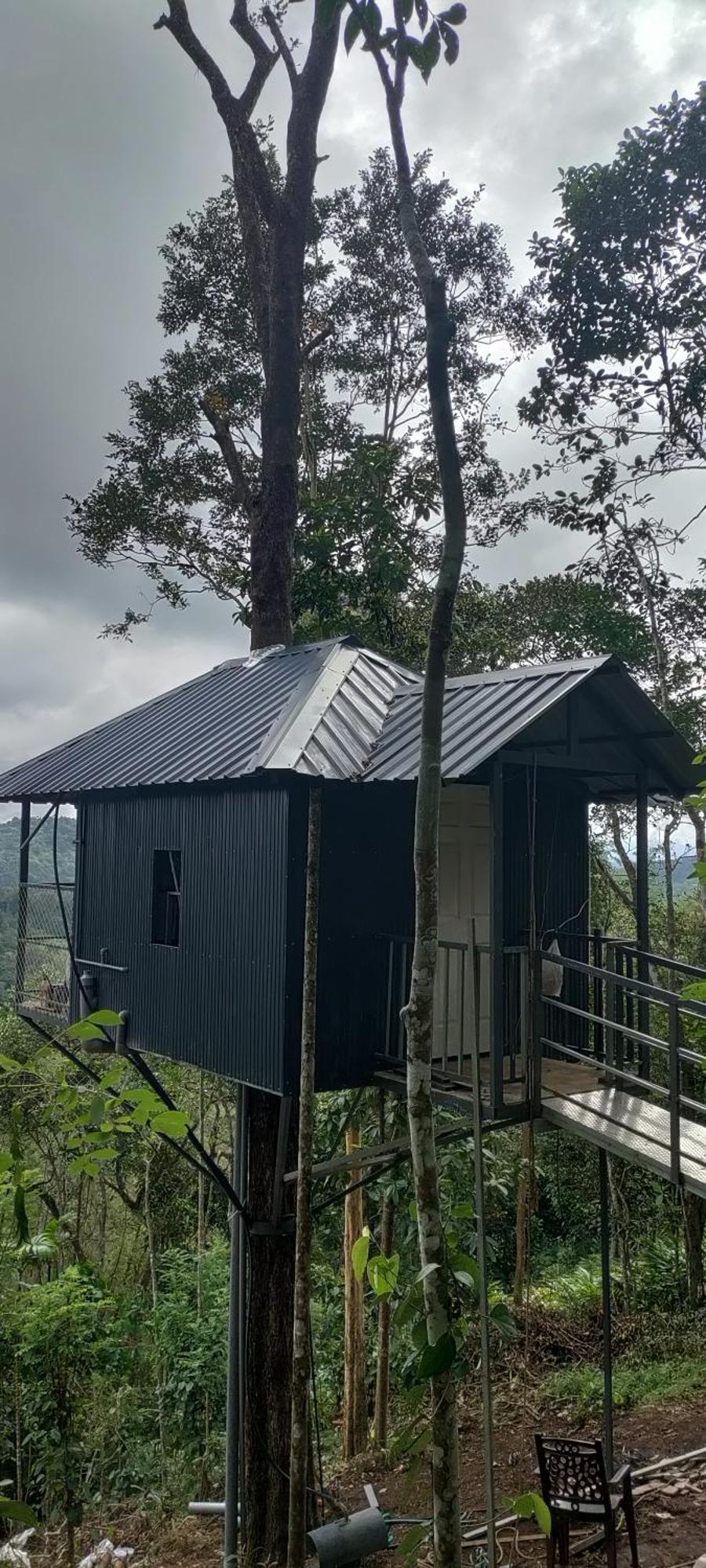 Coffee Camp Home Stay With Tree House Kattappana Exteriér fotografie