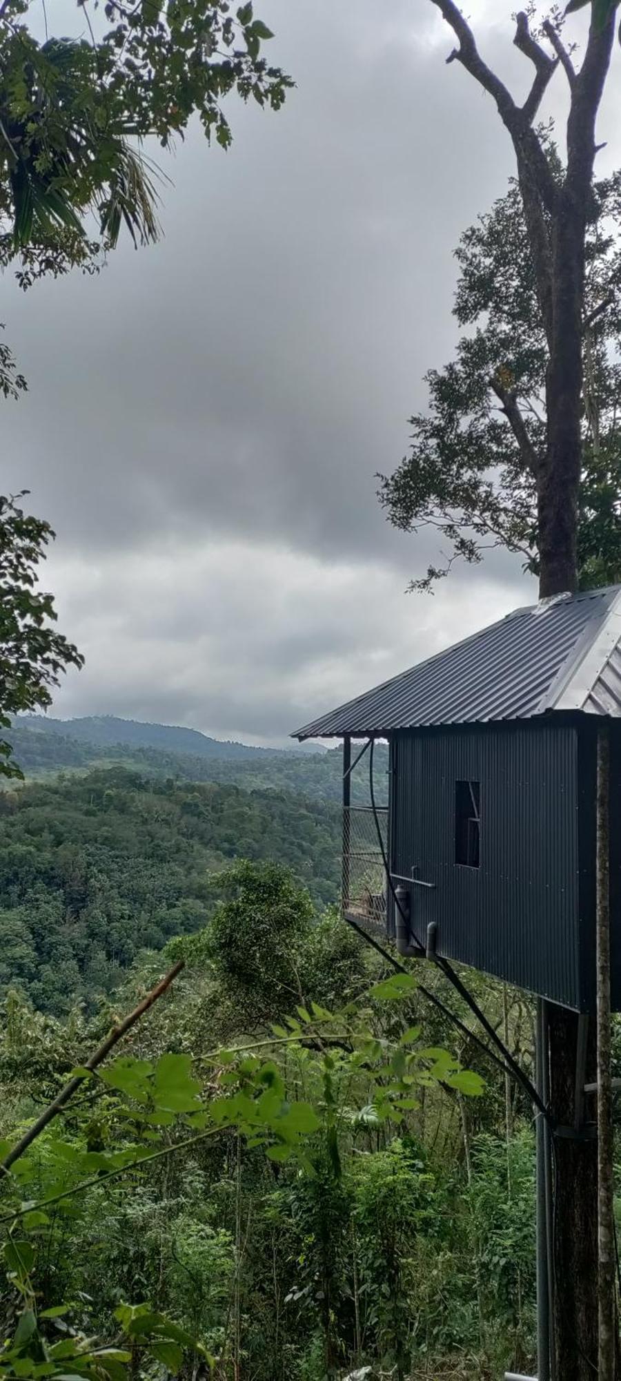 Coffee Camp Home Stay With Tree House Kattappana Exteriér fotografie