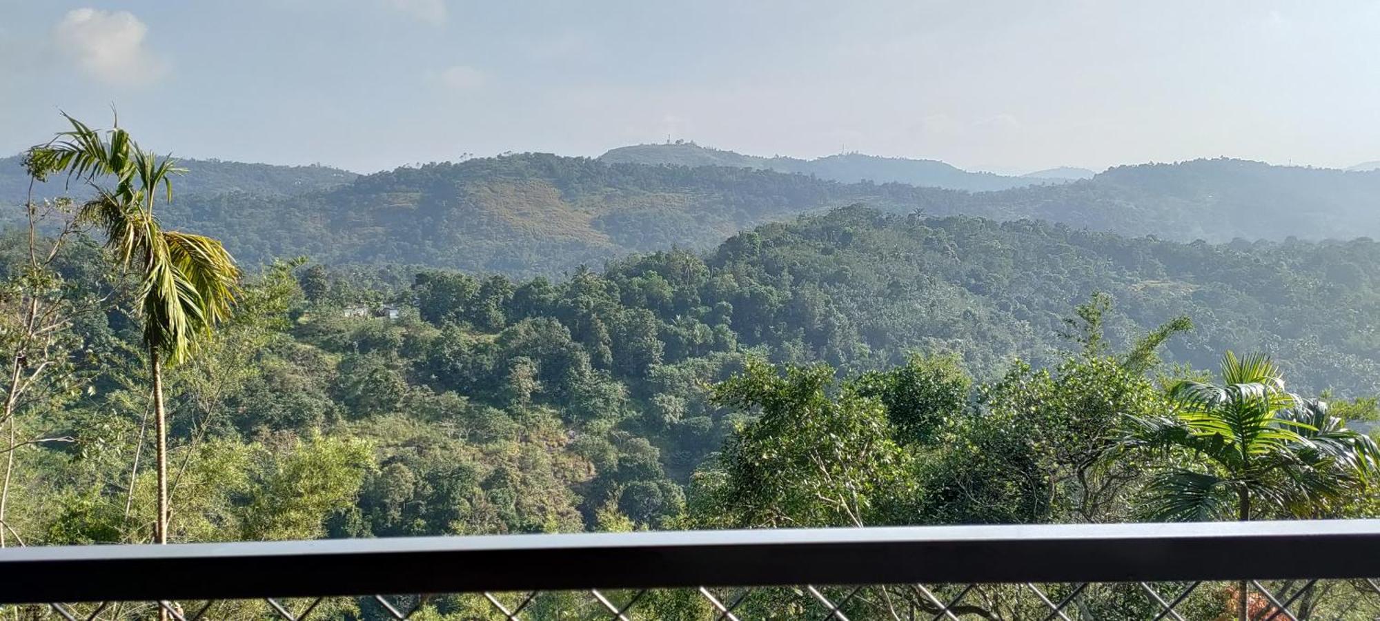 Coffee Camp Home Stay With Tree House Kattappana Exteriér fotografie
